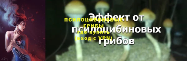 спайс Белокуриха